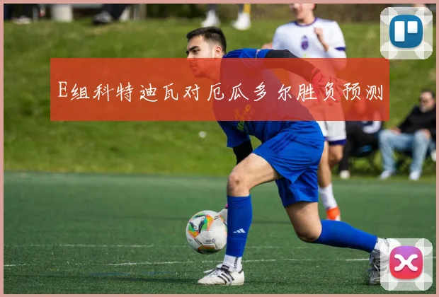 E组科特迪瓦对厄瓜多尔胜负预测