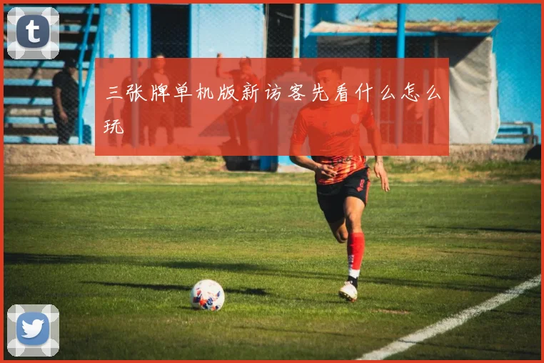 三张牌单机版新访客先看什么怎么玩
