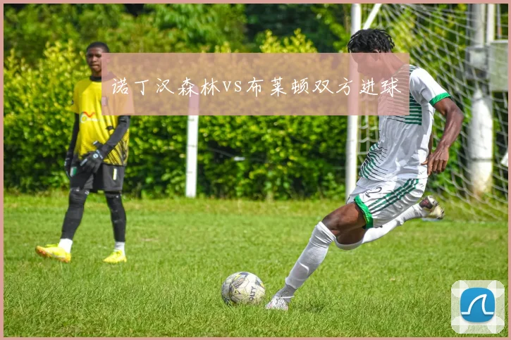 诺丁汉森林vs布莱顿双方进球