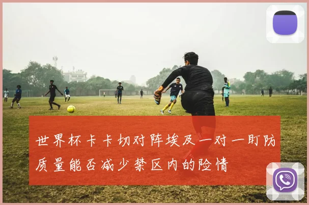 世界杯卡卡切对阵埃及一对一盯防质量能否减少禁区内的险情